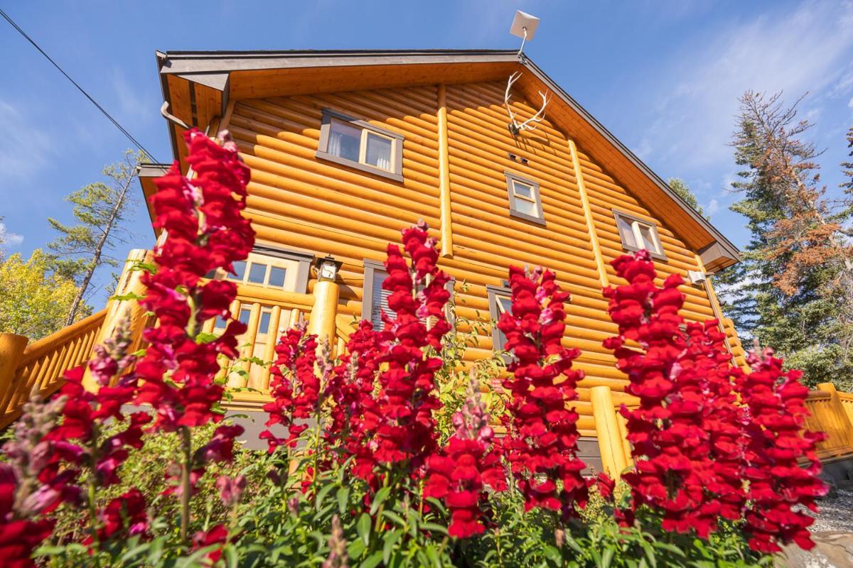 Castle Mountain Chalets Exterior foto